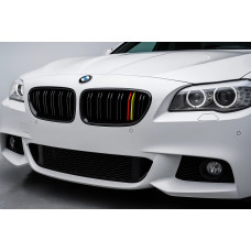 Ніздрі M-Look (German Color) для BMW 5 серія F10/F11 2010-2016 рр