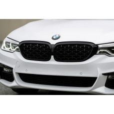 Ніздрі Diamond Black V1 (2017-2020, чорна окантовка) для BMW 5 серія G30/G31 рр