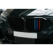 Ніздрі M-Look (2019-2022, M-Color) для BMW X5 G05 2019- рр