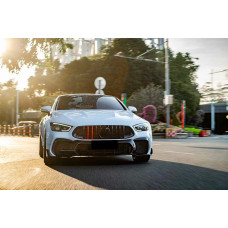 Передня решітка GT Panamericana GT-R (2018-2022) для Mercedes AMG GT 4 X290 2018- рр